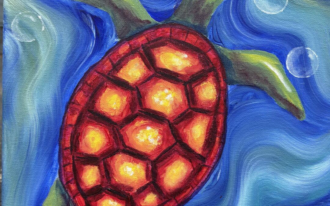 Teens & Adults: Sea Turtle
